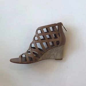 Tan lattice wedges
